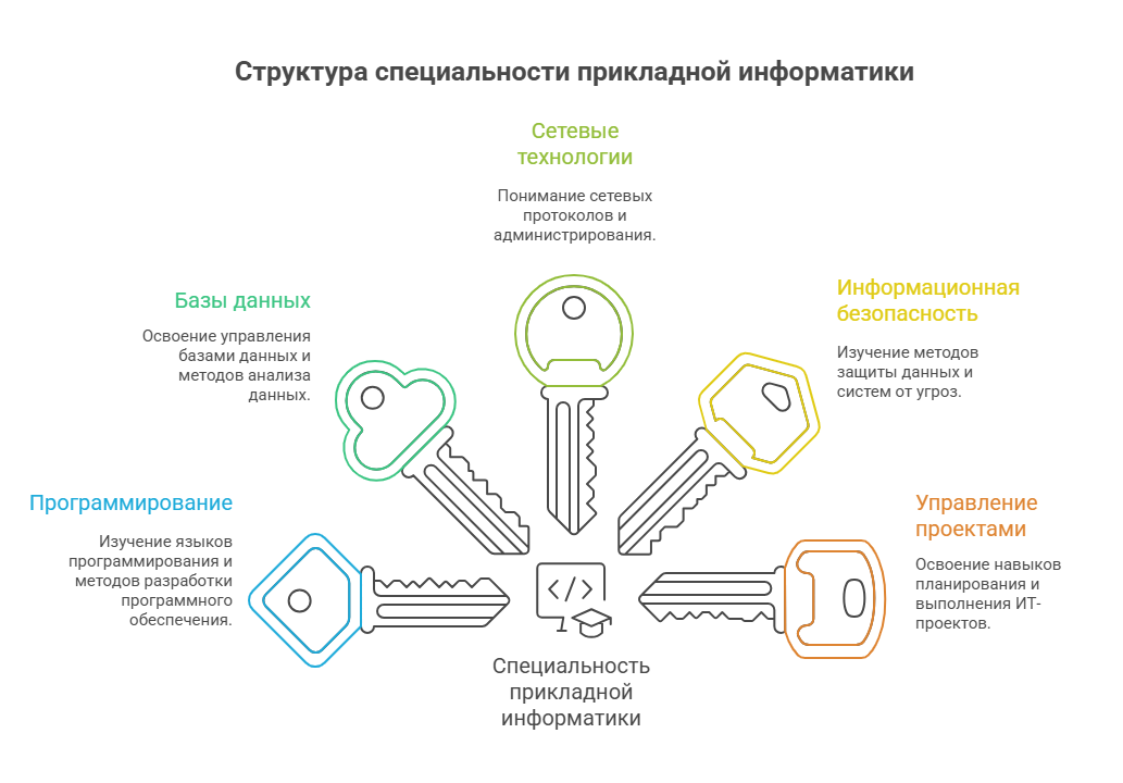 специальность прикладная информатика